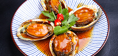 鮑魚(yú)