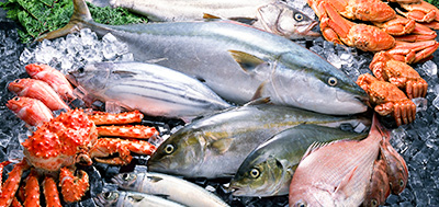 魚(yú)、蝦等海產(chǎn)品