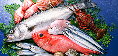 魚、蝦、殼類等各種海產品