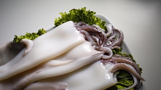 特斯特魷魚(yú)保水劑S109在魷魚(yú)加工過(guò)程中的應(yīng)用