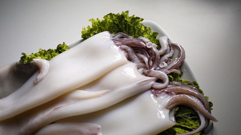特斯特魷魚保水劑