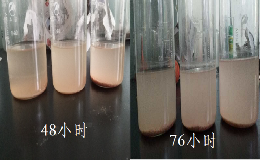 醬鹵產(chǎn)品護色