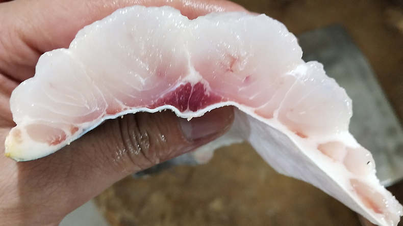 巴沙魚保水