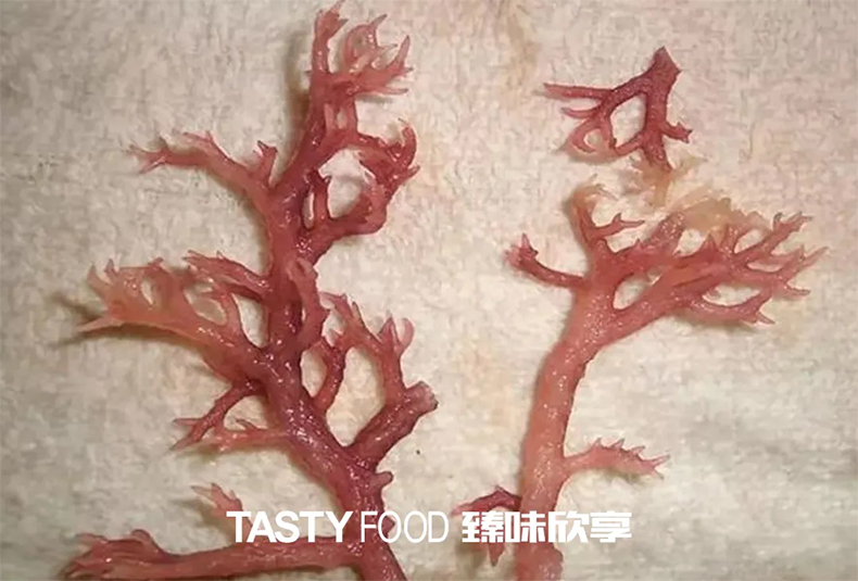 食用膠