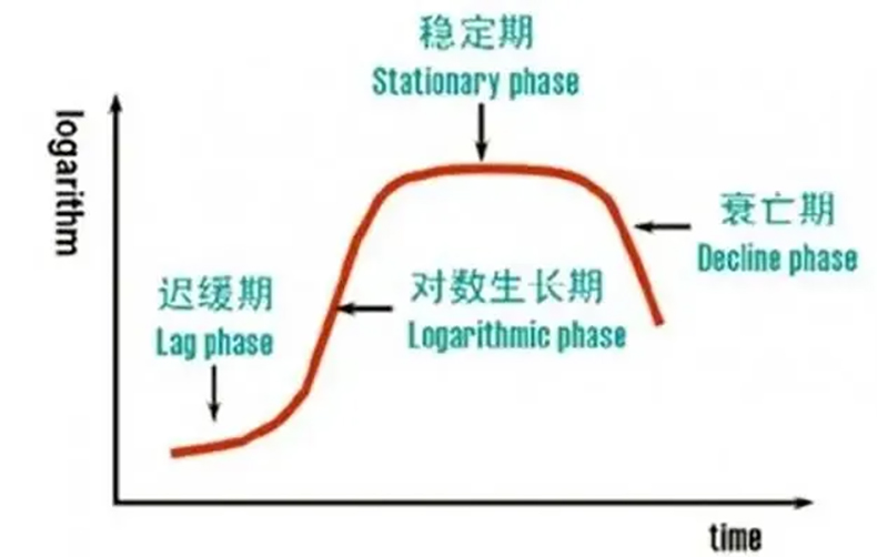 防腐劑