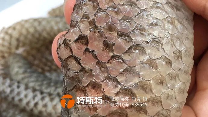 微信圖片_20240108102423
